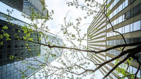 BeZero Carbon secures $32 million in funding.